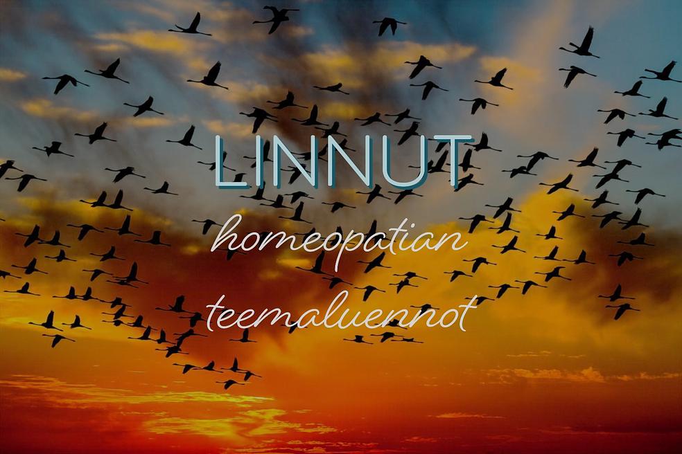 Millainen on linnut-teema homeopatiassa? by TAIMI koulutus Oy